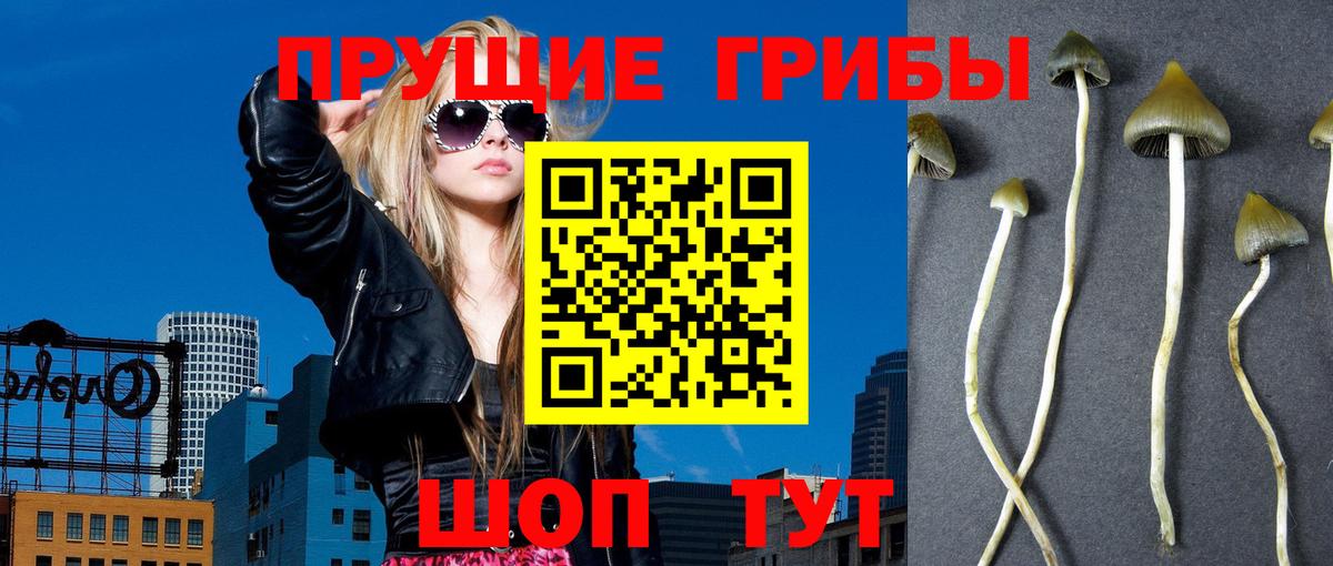 Марихуана  Меф МЯУ МЯУ   Alpha PVP СК   Вход с VPN  Купить наркотик  Ахтубинск  ГАШ  МЕТАДОН 