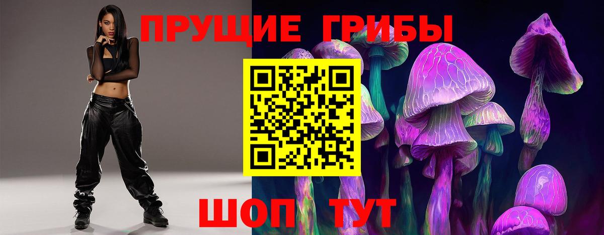 Псилоцибиновые грибы мицелий  Вход с VPN  Ахтубинск 