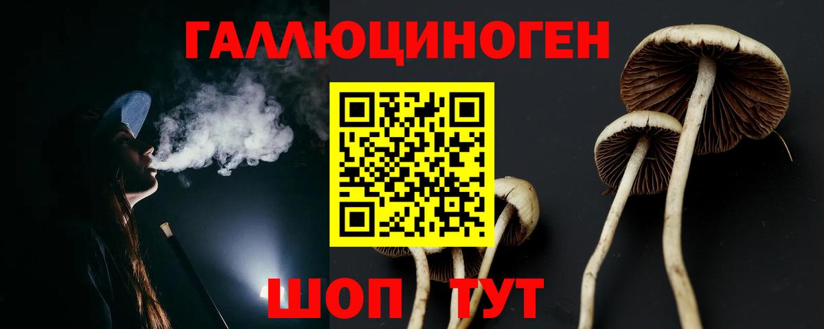 Псилоцибиновые грибы Magic Shrooms Ахтубинск